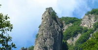 柞水 宜居  宜游  宜商  宜業