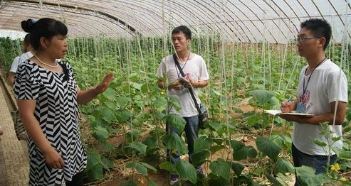 商洛學院志愿者赴丹、商開展社會實踐活動