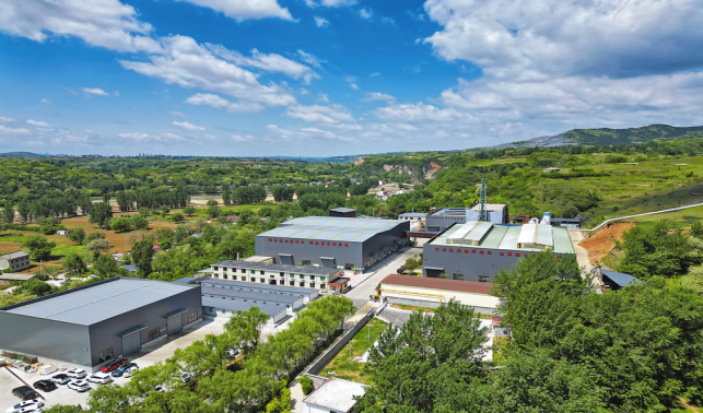 砥礪奮進促蝶變 高質量發展開新篇