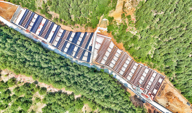 特色產業興 發展活力足