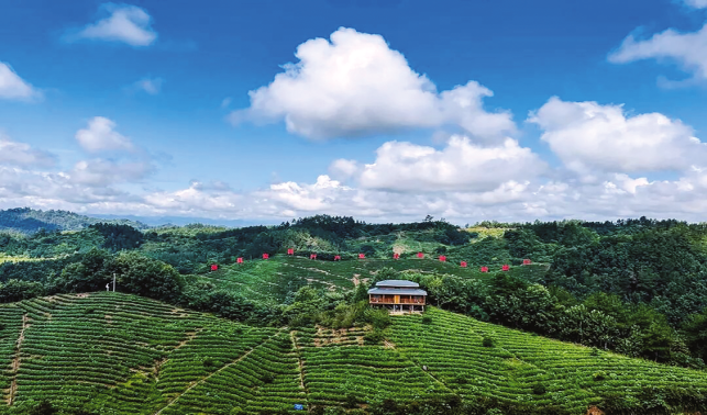 守護(hù)綠水青山 繪就生態(tài)畫卷