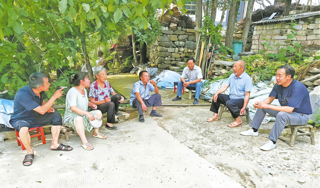 繪就基層善治新“楓”景