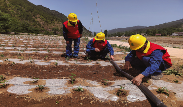 抗旱保供顯擔當