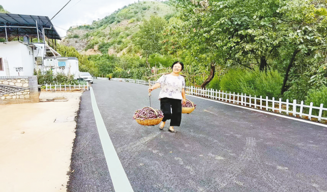 一條柏油路，串起果農(nóng)新生活