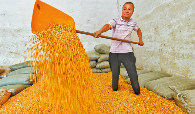 古城街社區 多業興村富民