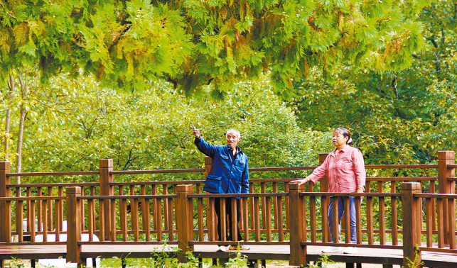 古樹長青 守護常新