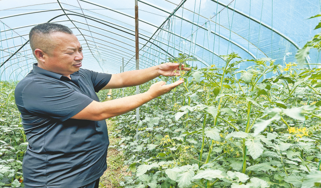 科學育苗破解增產密碼