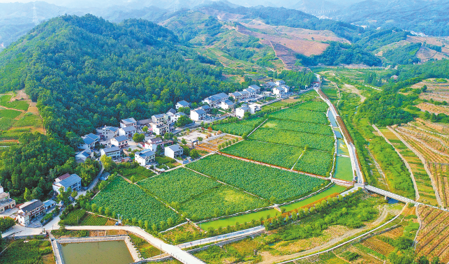 試馬鎮 產業旺了 環境美了