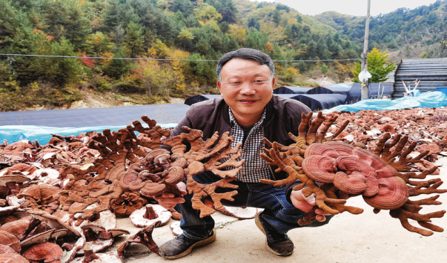 十里坪鎮 壯大優勢特色產業