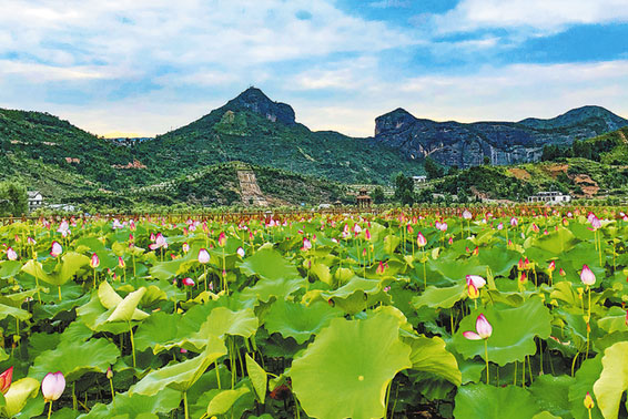 農旅融合描繪山陽法官振興新畫卷