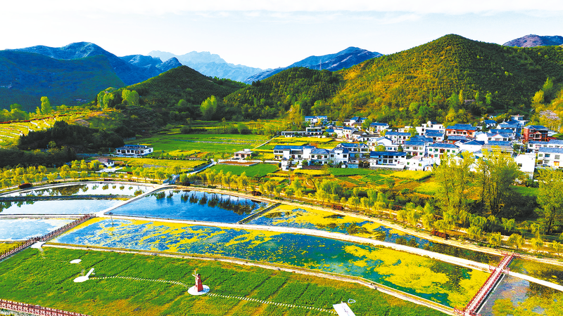 農(nóng)文旅融合，“融”出好光景