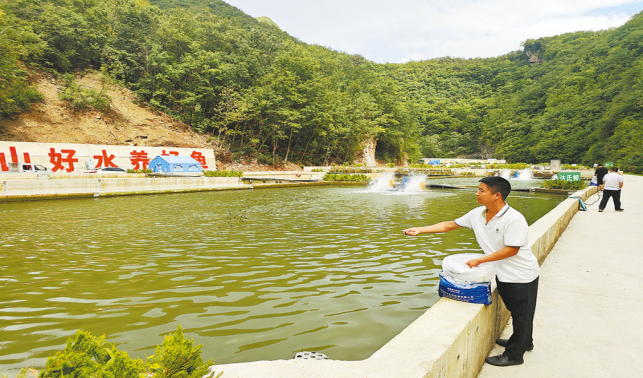 兩岔河村冷水魚養成記