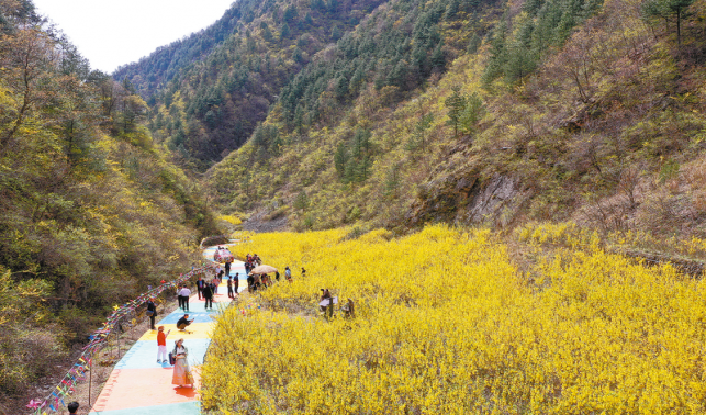 有顏值更有價值