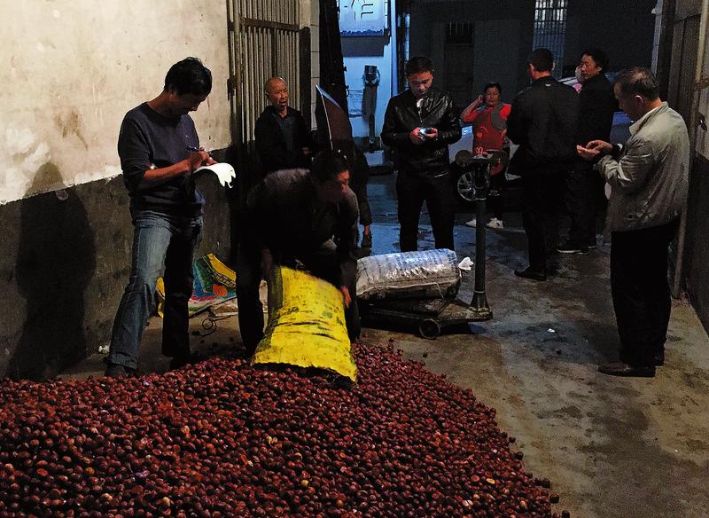 為貧困戶建起一座綠色銀行