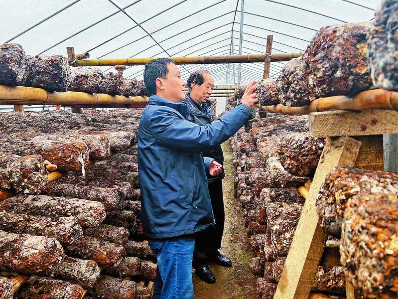 出彩扶貧人“疫”線好戰士