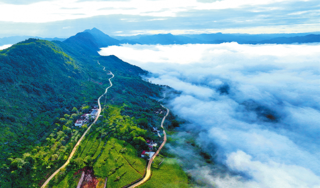 云海下的鎮安鞍山村觀光農業