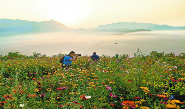 初秋的鎮安縣海棠山