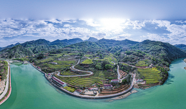 旬河的綠色躍遷