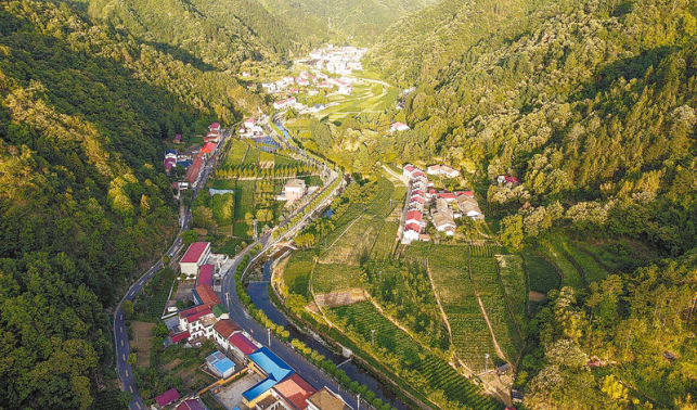 坪勝村 文明風起滿目新