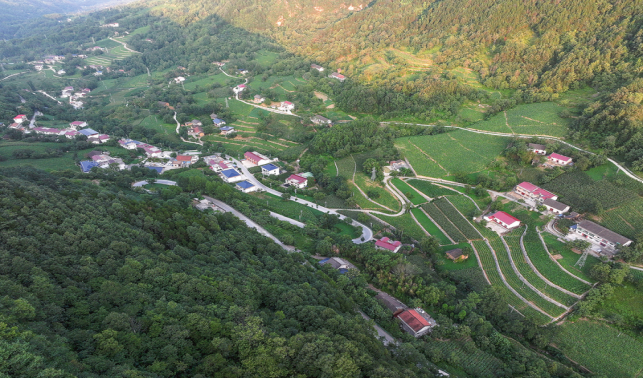 聯(lián)盟村的蝶變之路