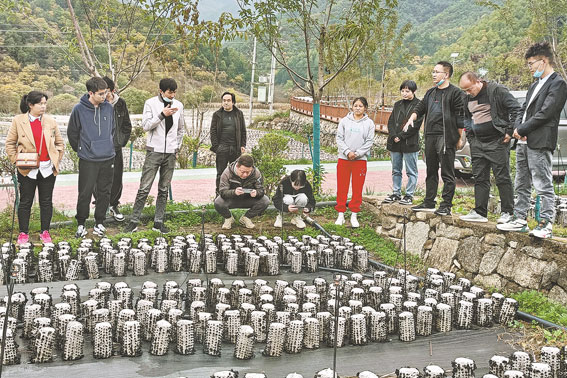 把小木耳辦成大產業