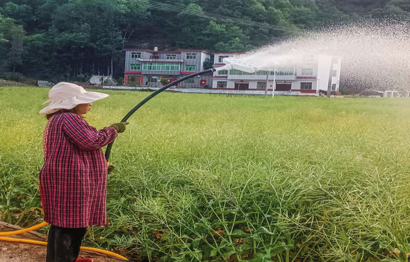 杏坪鎮鎮村干部全力抗旱